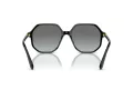 Swarovski Solbriller SK 6003 100111