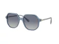 Swarovski Solbriller SK 6003 10354L