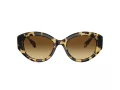 Swarovski Solbriller SK 6005 100913