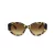 Swarovski Solbriller SK 6005 100913
