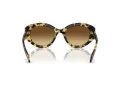 Swarovski Solbriller SK 6005 100913