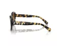 Swarovski Solbriller SK 6005 100913