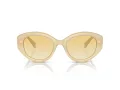 Swarovski Solbriller SK 6005 10232Q