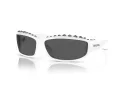 Swarovski Solbriller SK 6009 102987