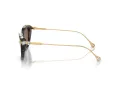 Swarovski Solbriller SK 6010 100273
