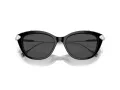Swarovski Solbriller SK 6010 103887