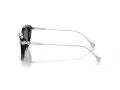 Swarovski Solbriller SK 6010 103887