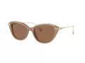 Swarovski Solbriller SK 6010 2002OK