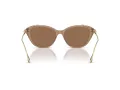 Swarovski Solbriller SK 6010 2002OK