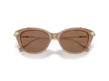 Swarovski Solbriller SK 6010 2002OK