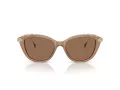 Swarovski Solbriller SK 6010 2002OK