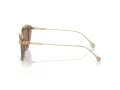 Swarovski Solbriller SK 6010 2002OK