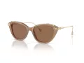 Swarovski Solbriller SK 6010 2002OK
