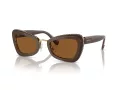 Swarovski Solbriller SK 6012 101173