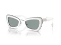 Swarovski Solbriller SK 6012 1012/1