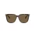 Swarovski Solbriller SK 6015D 100273