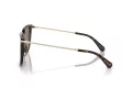 Swarovski Solbriller SK 6015D 100273