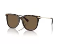 Swarovski Solbriller SK 6015D 100273
