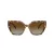 Swarovski Solbriller SK 6016 1004T5