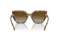 Swarovski Solbriller SK 6016 1004T5