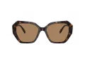 Swarovski Solbriller SK 6017 1002M4