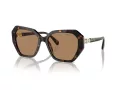 Swarovski Solbriller SK 6017 1002M4
