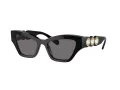 Swarovski Solbriller SK 6021 100181
