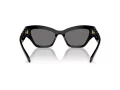 Swarovski Solbriller SK 6021 100181