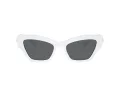Swarovski Solbriller SK 6021 105087