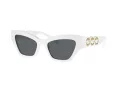Swarovski Solbriller SK 6021 105087