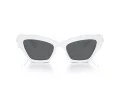 Swarovski Solbriller SK 6021 105087