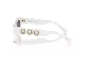 Swarovski Solbriller SK 6021 105087