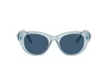 Swarovski Solbriller SK 6025 106555