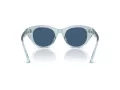 Swarovski Solbriller SK 6025 106555