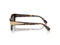 Swarovski Solbriller SK 6029 100273