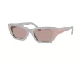 Swarovski Solbriller SK 6029 10317N