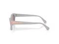 Swarovski Solbriller SK 6029 10317N