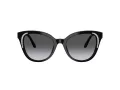 Swarovski Solbriller SK 6031 1001T3