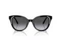 Swarovski Solbriller SK 6031 1001T3