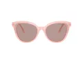 Swarovski Solbriller SK 6031 10317N