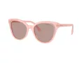 Swarovski Solbriller SK 6031 10317N