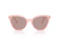 Swarovski Solbriller SK 6031 10317N