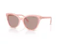 Swarovski Solbriller SK 6031 10317N