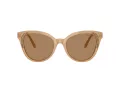 Swarovski Solbriller SK 6031 2002M4