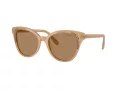 Swarovski Solbriller SK 6031 2002M4