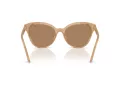 Swarovski Solbriller SK 6031 2002M4
