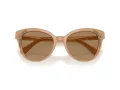 Swarovski Solbriller SK 6031 2002M4