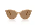 Swarovski Solbriller SK 6031 2002M4