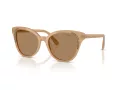 Swarovski Solbriller SK 6031 2002M4