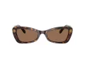 Swarovski Solbriller SK 6033 100273